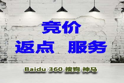 SEM托管代运营案例解析：ROI大幅提升的秘诀